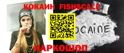 крисы Коммунар
