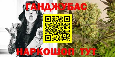 крисы Коммунар