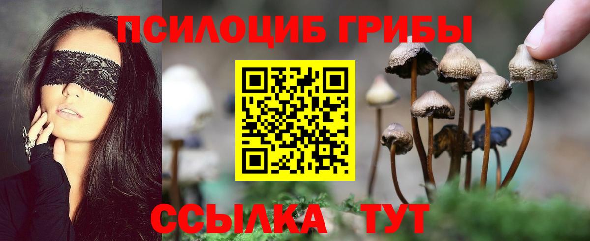 где найти   Галлюциногенные грибы прущие грибы  Соликамск  Вход с VPN  Галлюциногенные грибы прущие грибы 